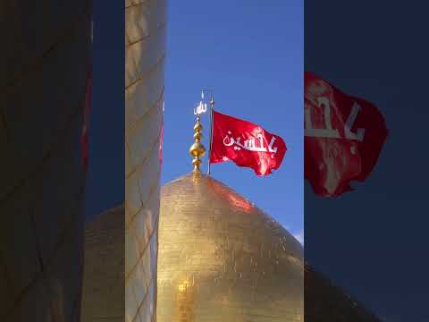 السلام على من جعل الله الشفاء في تربته