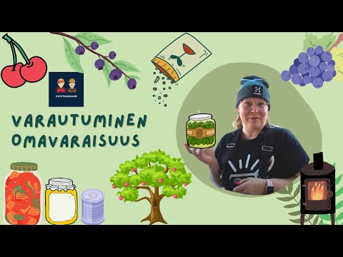 Video: Kuinka selviytyä omavaraisena?