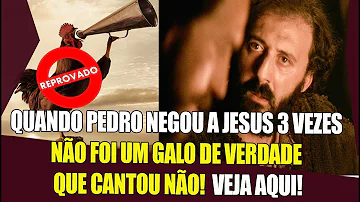 Qual o significado quando o galo canta fora de hora?