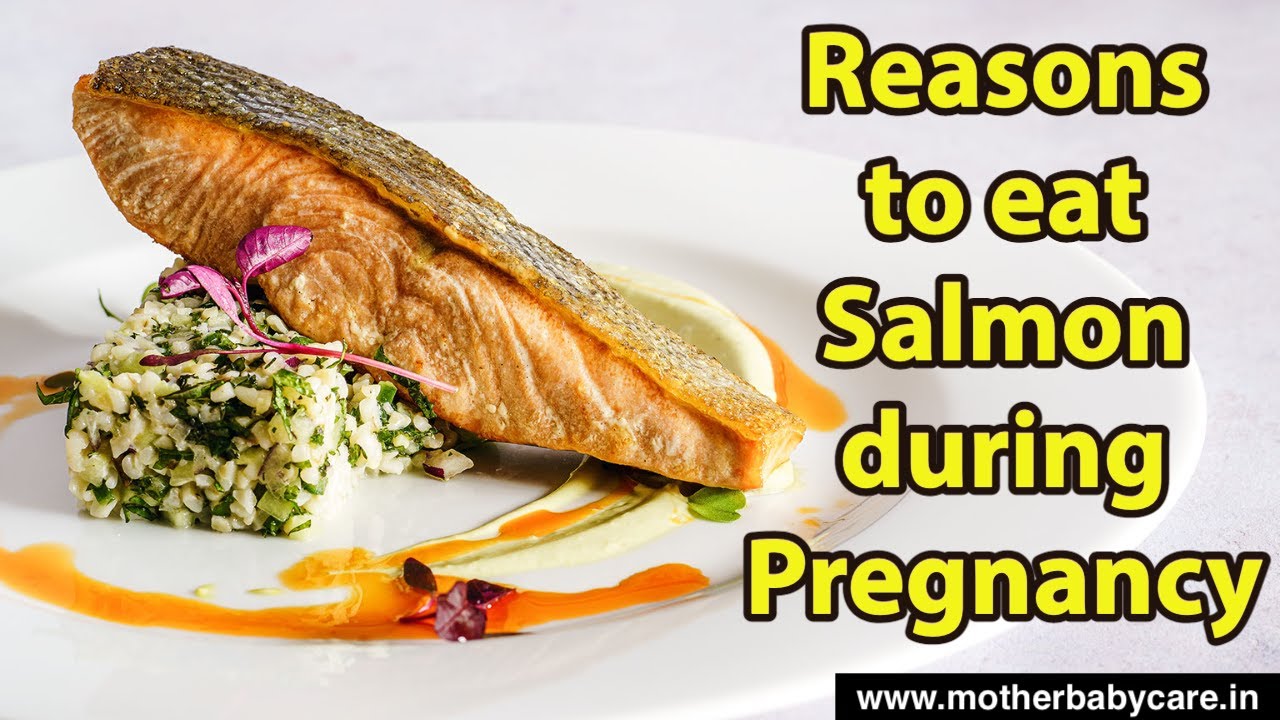 Is salmon safe during pregnancy Salmon while pregnant Benefits of