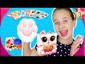 МЯУ-МЯУ ЧЕЛЛЕНДЖ в настольной карточной игре KITTY PAW - Кити По Кошачья лапка. Правила. GaGaGames