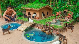 Rescue Cute Puppies Build New Dog House Mud And Fish Pond Aquarium