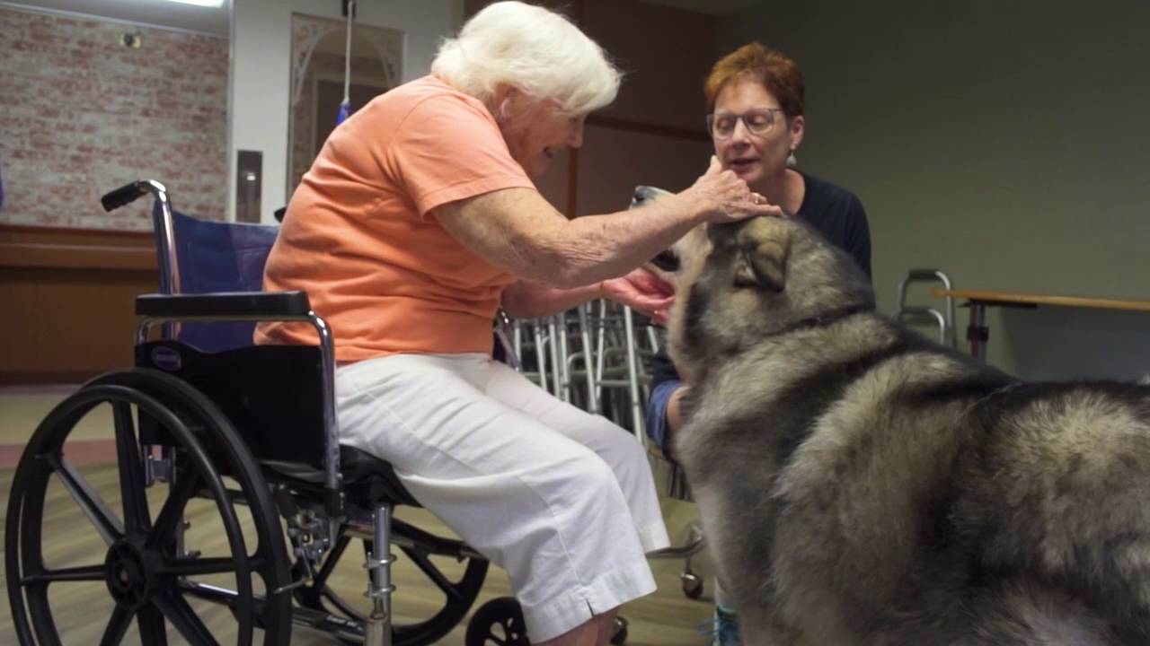 Wauconda Care Short Term Rehab Patient Testimonial YouTube