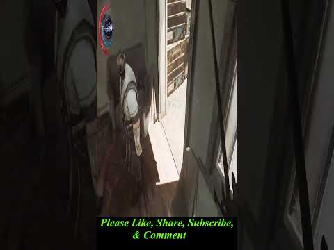 STELTH - Dishonored