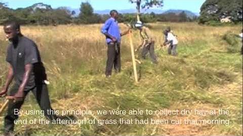 Scythe mowing in East Africa