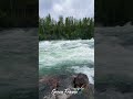 ✨​Nature’s Untamed Power: The Swedish Wild 🌊🌲🇸🇪 #GreenFrame #Shorts #Nature