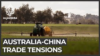 Australian Farmers Brace For China Ban Eye New Markets Youtube Australian Farmers Brace For China Ban Eye New Markets Youtube