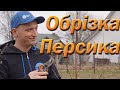 Обрізка персика  на веретено 3 рік, елементи американської обрізки. Частина №1