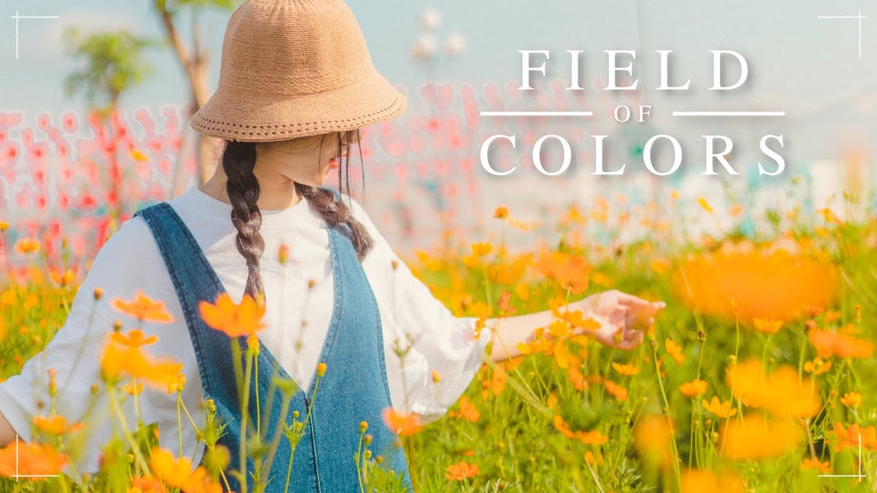 Watch Field of Colors - Beautiful Piano Song |BigRicePiano on YouTube Watch Field of Colors - Beautiful Piano Song |BigRicePiano on YouTube