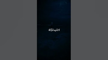 لا تدري لعل الله يحدث بعد ذلك أمرا - القاريء رعد الكردي - سورة الطلاق #قرآن_كريم