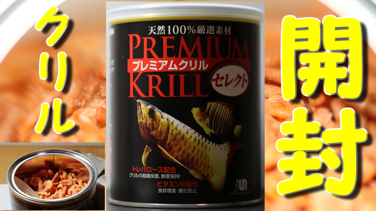 観賞魚フード プレミアム クリル セレクト 82g缶×6缶セット 新品 未開封 JUN プレミアムクリル セレクト 82g レビュー 【Krill】【大型魚