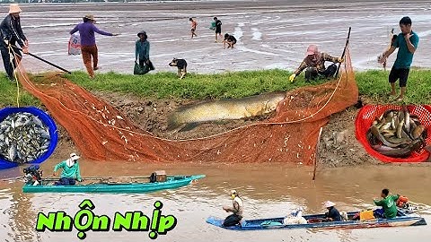 Mùa Cá Đi” Trên Đồng Miền Tây - Cảnh Tượng Chỉ Có Mỗi Năm Một Lần