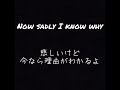 "I'm Not The Only One" by Sam Smith 【日本語/歌詞/和訳/Lyrics/Eng Sub/JP Sub】