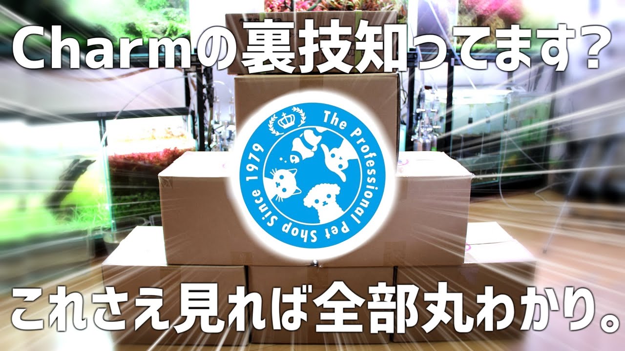 【必見】Charmでお得に買い物する方法!!自分に最適な買い物方法を伝授します。