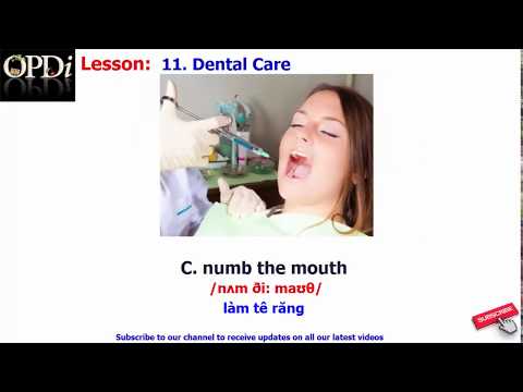 Video Oxford dictionary | 11. Dental Care | Oxford picture... - youtube
