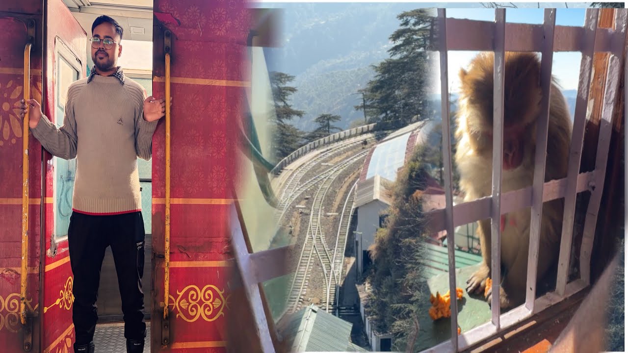 Monkey ko Bhuk lagi thi sumayya ne monkey ko khana khilaya aur Dar bhi gai ||