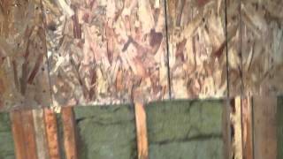 Mold remediation video #3: completion of project