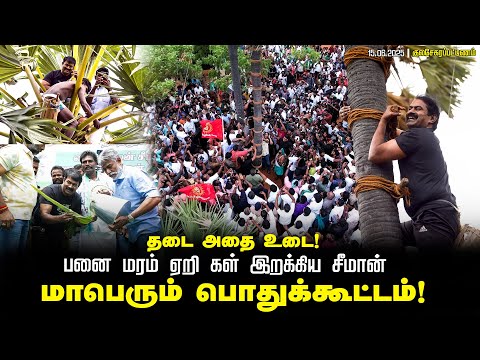 கள் மீதான தடைக்கு எதிர்ப்பு | பனையேறி கள் இறக்கி சீமான் போராட்டம் தூத்துக்குடி பெரியதாழை 15-06-2026