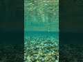 上高地の綺麗な川でGoProチャプチャプしてみた#shorts