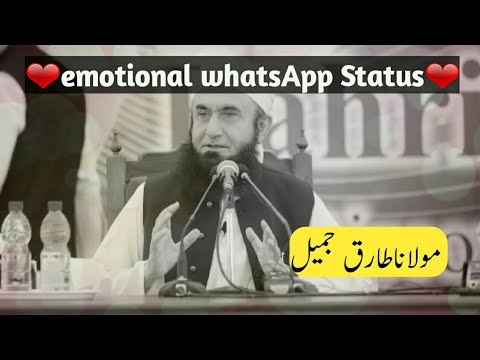 😢emotional-whatsapp-status❤|molana-tariq-jameel-sahab|maqol-tv|