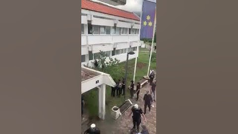 | Vijesti Hapšenje Milana Carevića, sina Marka Carevića