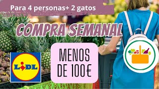 COMPRA SEMANAL PARA FAMILIA DE 4  (y 2 gatos) - LIDL Y MERCADONA.