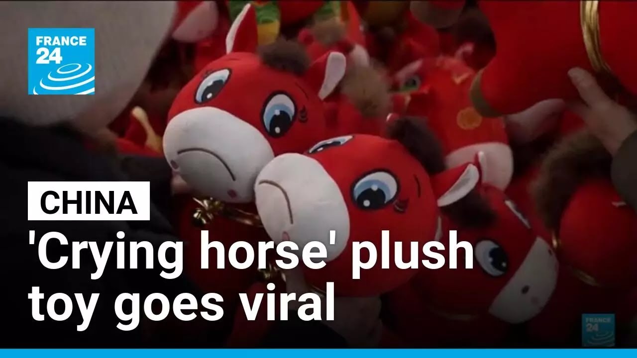China's accidental 'crying horse' plush toy goes viral • FRANCE 24 English