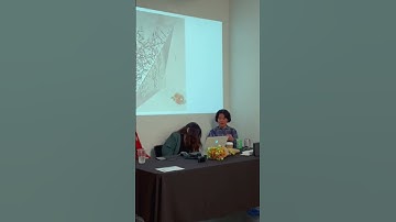 🔮 Unlocking Perspectives on Art and Time: Q&A Session with Xiaoxuan Huang 🎨