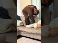 everybody's dog tears it up when they not home 😂😂😂