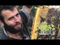 Займається бджолярством та створює екосадибу на Сумщині – Сергій Рубаник | ЕКО-ЛЮДИ