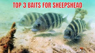 Top 3 Types Of Bait For Sheepshead Fishing screenshot 2