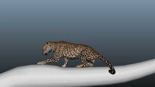 Creature Animation Showreel 2023