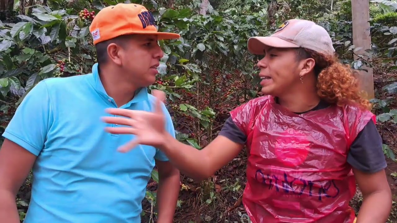 Esto pasa en los cortes de café 