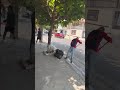 Percance vial en la Colonia La Pimienta deja a un masculino lesionado.