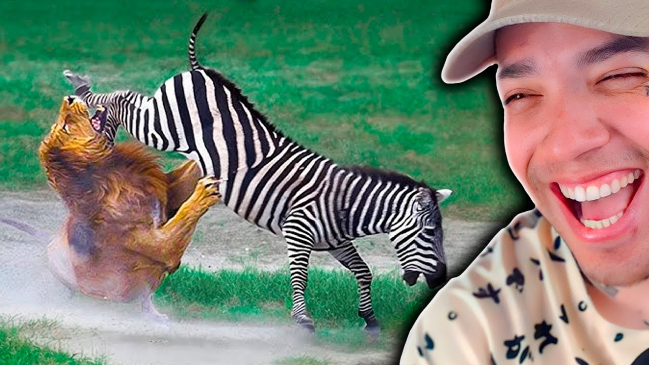 ANIMAIS que DESAFIARAM ANIMAIS errados