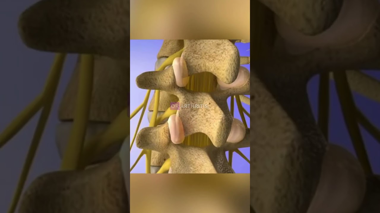 This is why you have Tailbone Pain! 