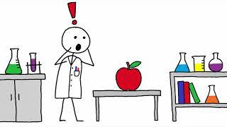An Apple a Day — The Truth Nobody Tells You