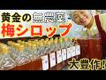 【黄金エキス】無農薬の梅を使って作った李さんこだわりの熟成梅シロップをご紹介します!