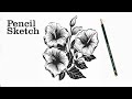 How to draw flowers easy step by step  flower drawing  pencil sketch