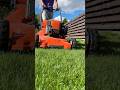 Grooming perfect lawn! #shorts