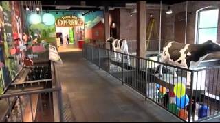 Celebrity The Turkey Hill Experience Profile