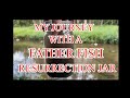 My journey with a father fish resurrection jar fish fishroom experiment journey