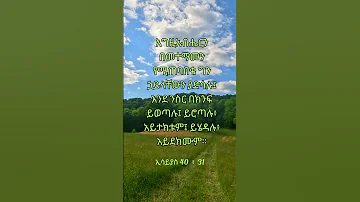 ትንቢተ ኢሳይያስ 40 የእግዚአብሔር ቃል ጥቅሶች የመጽሐፍ ቅዱስ ጥቅሶች መጽሐፍ ቅዱስ ሁሌም ሊታወሱ የሚገባቸው Biblequotes 