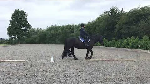 Lydia Ellison Interdressage Walk Trot L June-21