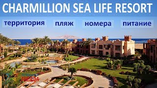 CHARMILLION SEA LIFE 4*. Территория, пляж, номера, питание.