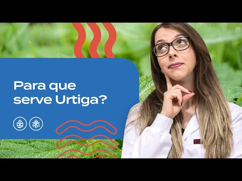 Vídeo: Urtiga Com Folhas Lindas. Reprodução