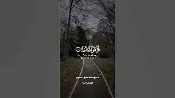 قران كريم ارح قلبك وسمعك #قران #المصحف #quran#المنشاوي #راحة_نفسية @قران_في_دقيقة