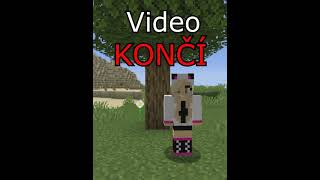 Minecraft, Ale Když Uvidím HOLKU Video Končí...