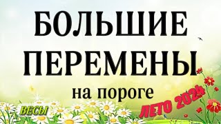 🛑 ВЕСЫ,♎️, ЛЕТО ⛱️ 2024,ВРЕМЯ БОЛЬШИХ ПЕРЕМЕН, гороскоп, онлайн гадание,таро расклад,анна Зверева