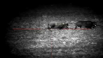 PARD DS35-70mm LRF uncut